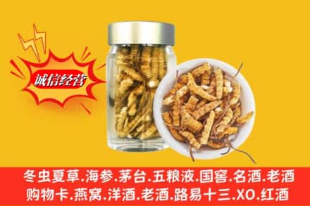 滁州市琅琊回收散虫草
