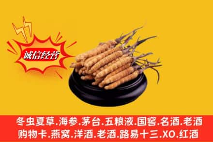 滁州市琅琊名酒回收冬虫夏草.jpg